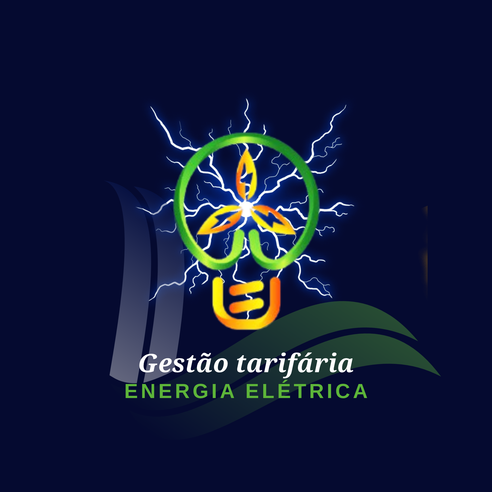 Gestão tarifária elétrica